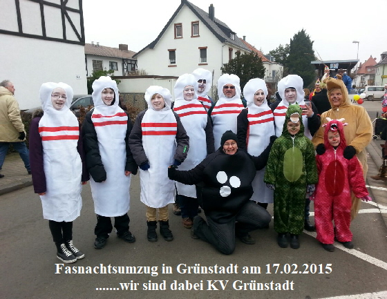 Fasnachtsumzug 2015